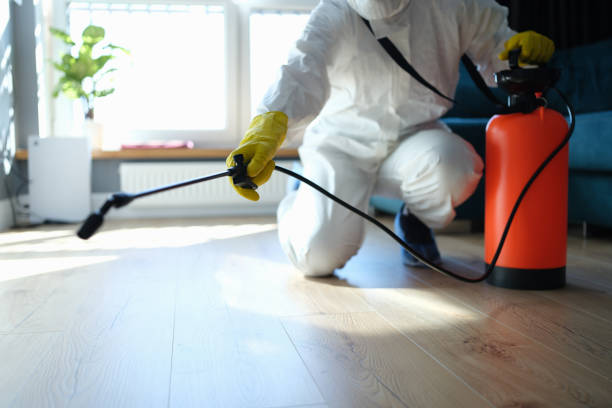 Reliable Hoarding Cleanup contractor in Wilmington, NC by Dulley Family Biohazard Services